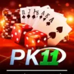 PK11 Game